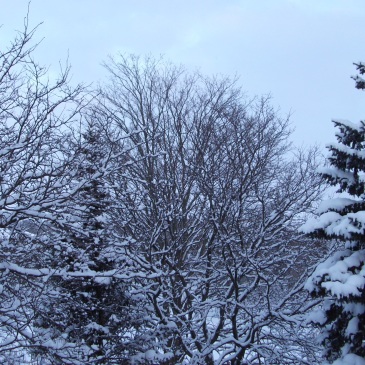 freddo, neve, Canada
